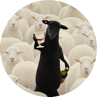 Nic, het schaap met een glas wijn